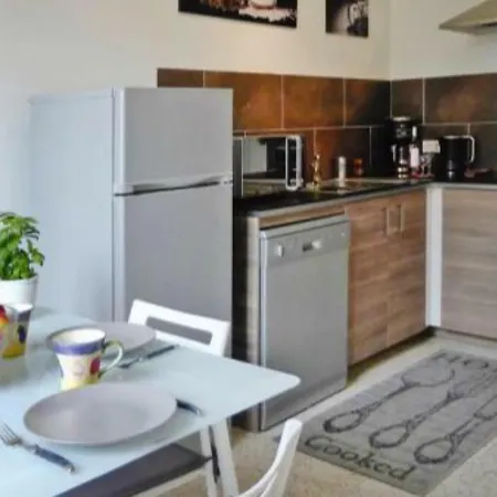 Duplex Meuble Face Aux Arenes D'arles דירה